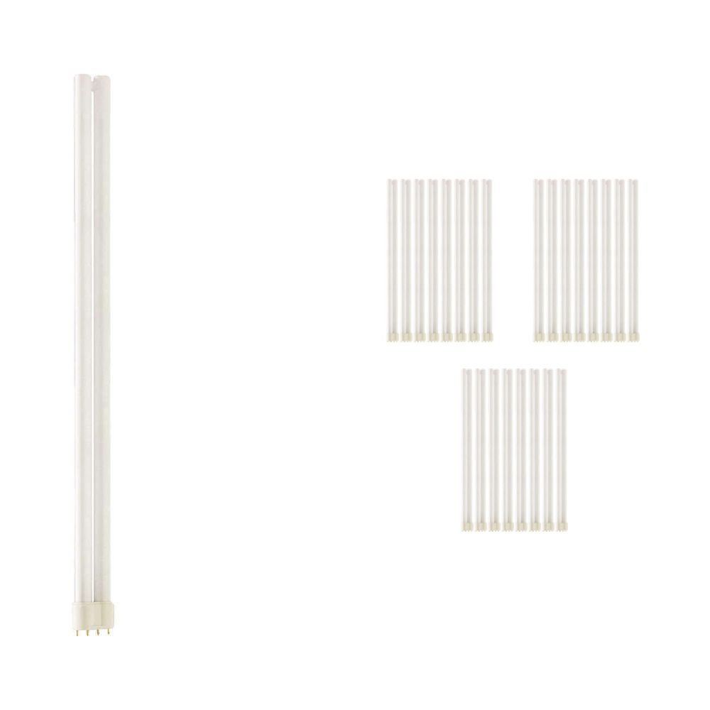 Multipack 25x Philips PL-L 55W 840 4P (MASTER) | Cool White - 4-Pin Multipack 25x Philips PL-L 55W 840 4P (MASTER) | Cool White - 4-Pin